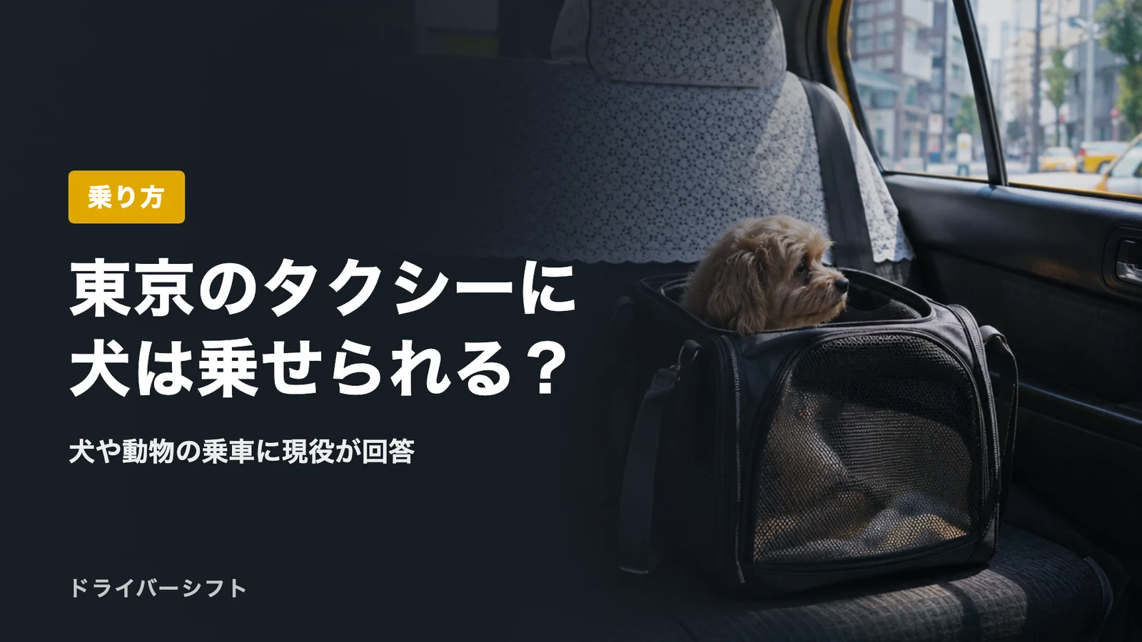 東京のタクシーに犬は乗せられる？